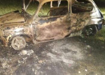 Las Rosas: se incendió un Fiat 600 sobre la ruta