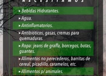 Incendios: Agrupaciones radicales y de Mujeres Juntas organizan colecta para Corrientes