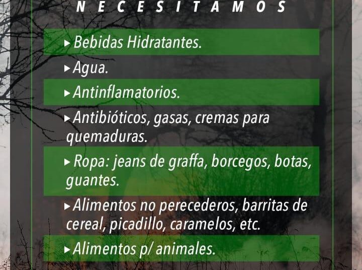 Incendios: Agrupaciones radicales y de Mujeres Juntas organizan colecta para Corrientes