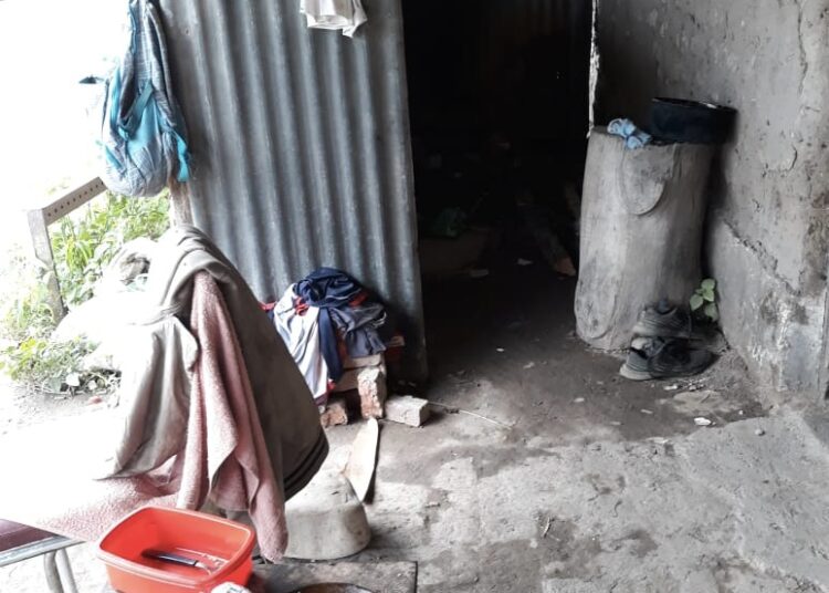 Jujuy: Detectan explotación laboral en una finca tabacalera en Monterrico