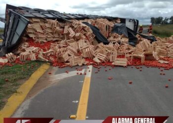 Neotinger (Córdoba): Volcó camión que trasportaba tomates en la rotonda de ruta provincial 2 y E-59