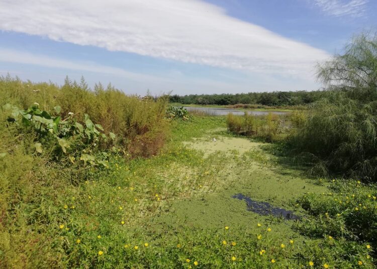 Venado Tuerto: Policías del comando radioeléctrico rescataron a un adolescente que se encontraba atascado en un canal circundante al basural municipal