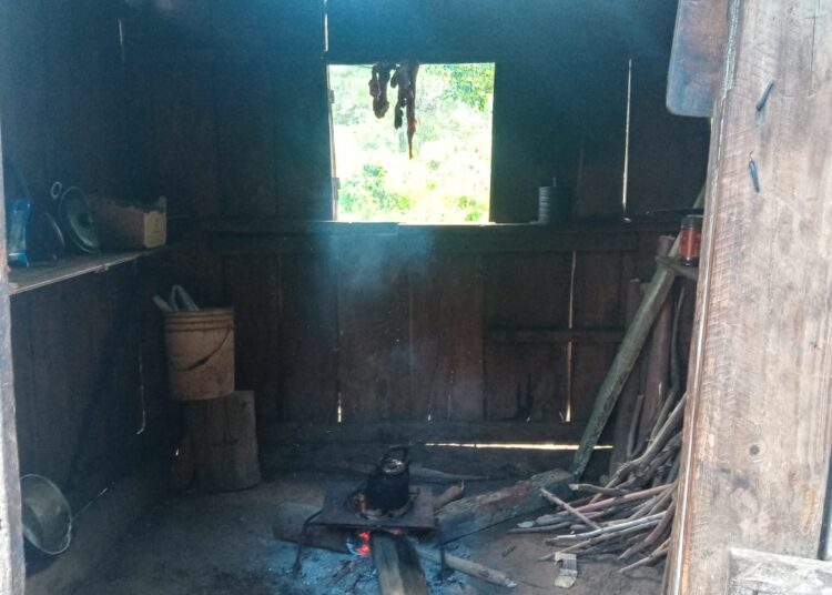 Gendarmes rescatan a 73 víctimas de explotación laboral en Corrientes y en Misiones