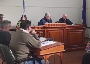 Chale sobre la banca ciudadana: Vamos a dictaminar aprobar las modificaciones presentadas por Carlos Fernández