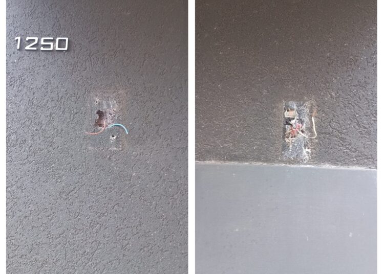 Cañada de Gómez: Robaron focos de luces led de una conocida carnicería