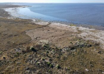 Melincué: El gobierno santafesino lleva adelante una campaña arquelógica