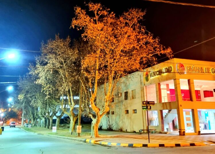 La municipalidad habilitó el cantero central y colocación de luminarias led en Balcarce al 1300