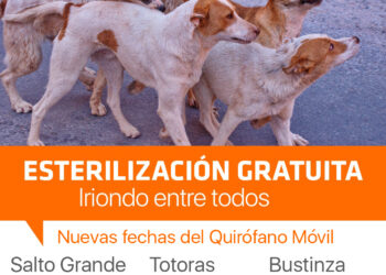 Fechas en Salto Grande, Totoras y Bustinza para el Quirófano Móvil de Iriondo