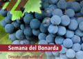 Semana del Bonarda