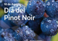 18 de agosto: Día Internacional del Pinot Noir