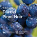 18 de agosto: Día Internacional del Pinot Noir