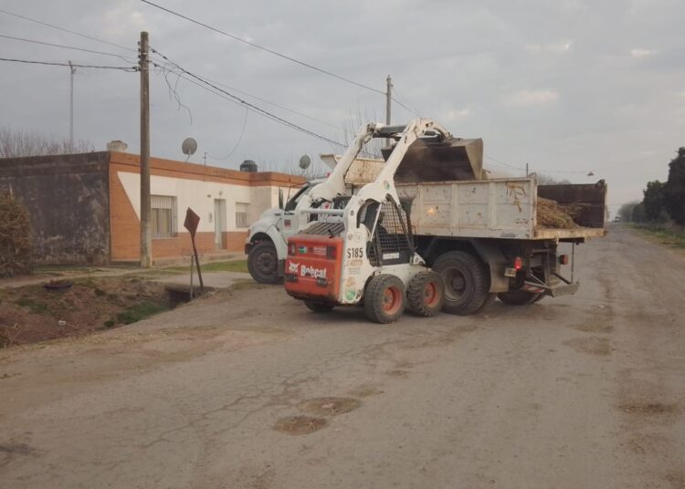 Realizan nuevas tareas de higiene urbana en la ciudad