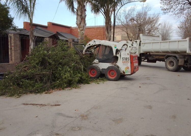 El municipio está realizando nuevos trabajos de higiene urbana