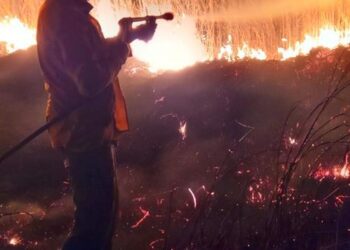 Bomberos combatieron incendio por el camino lateral de las vias férreas a la altura de la presa retardadora