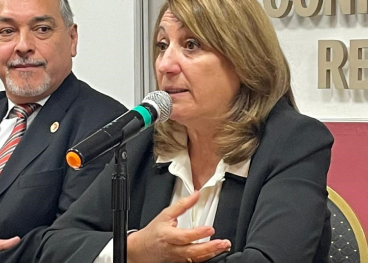 Mónica Fein: “El sistema de salud argentino necesita una transformación”