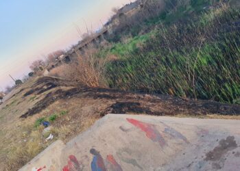 El municipio denunció incendio intencional en las márgenes del Arroyo