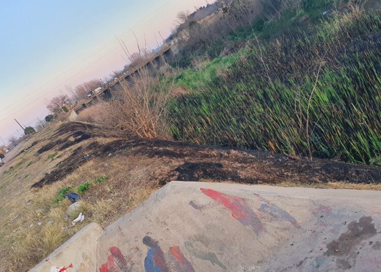 El municipio denunció incendio intencional en las márgenes del Arroyo