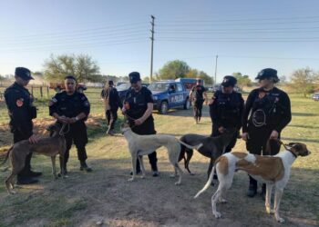 Sauce viejo: Amplio operativo cerrojo por carrera de galgos