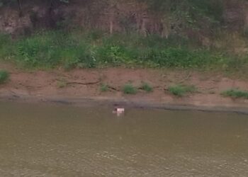 Confirmaron que el hombre hallado sin vida en el río Carcarañá es el del femicida