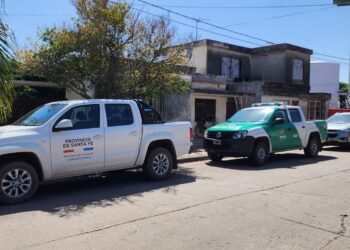 Totoras: Los Pumas allanaron una propiedad por maltrato animal