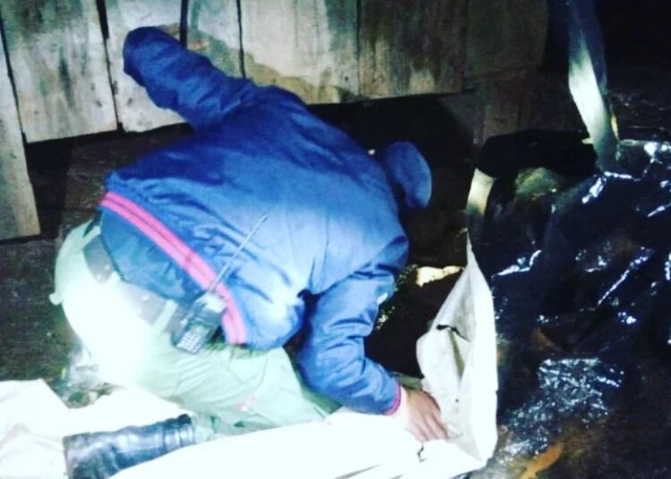 Misiones: Hallaron a dos niños que se extraviaron en una zona de monte de El Soberbio