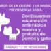 El municipio y veterinarios continúan la campaña gratuita de vacunación antirrábica