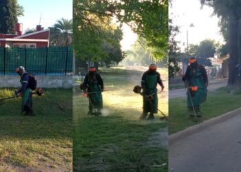 El municipio comunica los nuevos trabajos de desmalezamiento