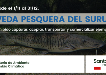 Desde hoy rige la veda de pesca del Surubí