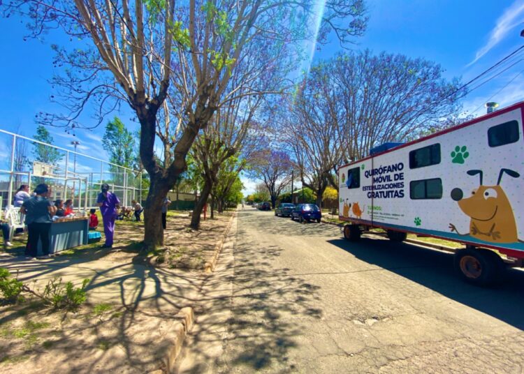 El Quirófano Móvil Municipal comenzó noviembre en el CIC “Javier Fernández”