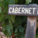 Cabernet Franc, su actualidad en Argentina