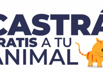 Quirófano Móvil Municipal continúa recorriendo la ciudad