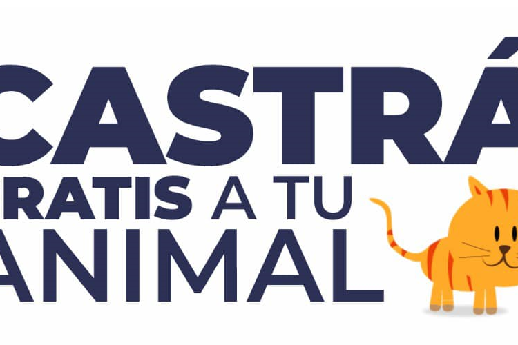 Quirófano Móvil Municipal continúa recorriendo la ciudad