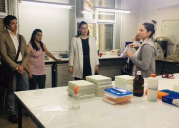 Federalización de la Ciencia: se desarrollan tres grandes proyectos territoriales, innovadores y de impacto en Rosario, Casilda y Cañada de Gómez