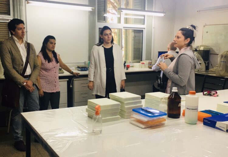 Federalización de la Ciencia: se desarrollan tres grandes proyectos territoriales, innovadores y de impacto en Rosario, Casilda y Cañada de Gómez