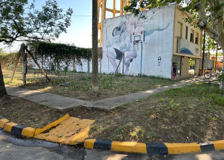 Chale respecto de las rampas: «No tiene ningún sentido pintar la rampa si esta es imposible de transitar»