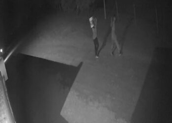 (Video) Robaron en el Cementerio Comunal de Sa Pereira (Santa Fe)