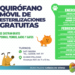 Cronograma enero y febrero del servicio de esterilizaciones gratuitas de mascotas