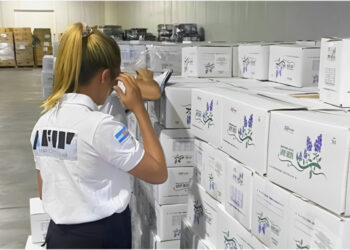 Alvear (Santa Fe): La AFIP desbarató una exportación fraudulenta por 80 millones de pesos