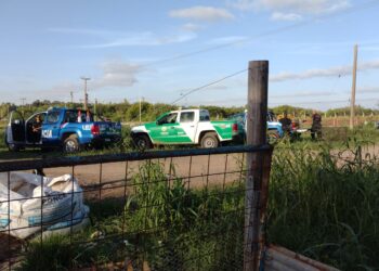 Cañada de Gómez: Los Pumas y la Policía allanaron una vivienda y secuestraron una perra pitbull y sus cachorros