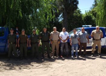 “Los Pumas” de Venado Tuerto y Rufino en colaboración con la policía de Córdoba esclarecieron un hecho de Abigeato