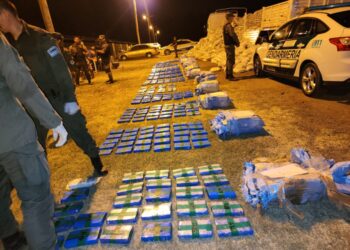 Rosario: Descubren más de 426 kilos de cocaína debajo de una carga de porotos