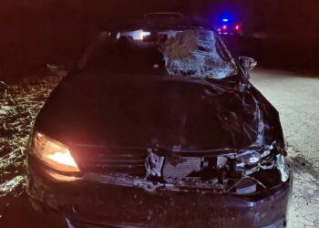 Vera: Automovilista colisionó con un animal vacuno que se cruzó en la Ruta Provincial Nº36.