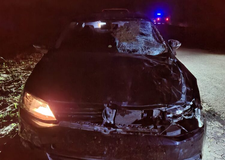 Vera: Automovilista colisionó con un animal vacuno que se cruzó en la Ruta Provincial Nº36.