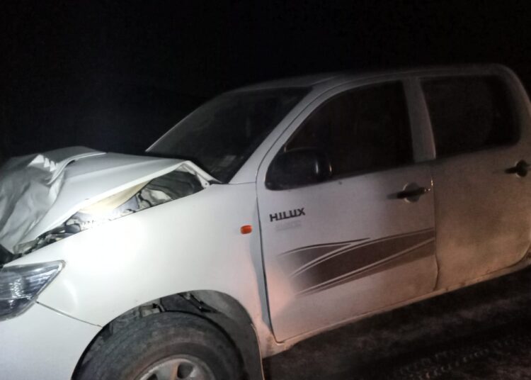 Dos accidentes en pocas horas ocasionados por animales sueltos sobre Ruta Nacional Nº98 y Ruta Provincial Nº13