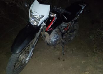 Gato Colorado: Los Pumas aprehendieron a dos sospechosos por presunto Abigeato