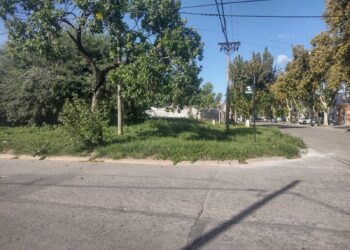 Travaglino pidió que el municipio intervenga sobre un terreno baldío en zona Sur