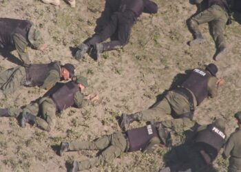 Los Pumas: Capacitación de cursantes en Monte III