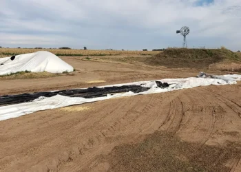 Bell Ville: dura condena a integrantes de una banda que robaba cereal en el sur este de la provincia de Córdoba