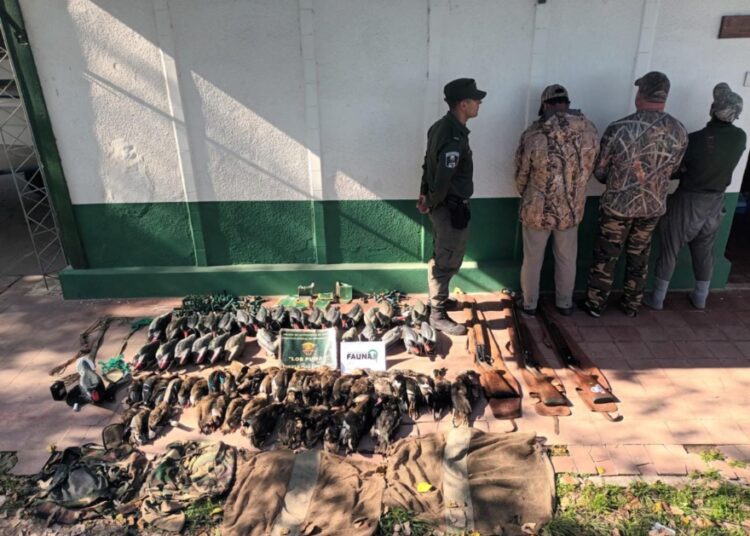 Helvecia: Los Pumas aprehendieron a tres ciudadanos estadounidenses y tres argentinos por infringir nuestras leyes de conservación de Fauna silvestre