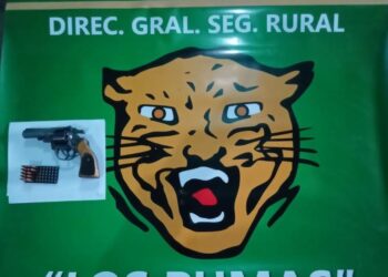 Los Pumas de Florencia secuestraron un revolver en poder de un menor de edad
